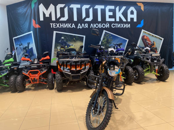 Мопед Мотомир COLT INTERNATIONAL 49.9 (110) коричневый (международная схема п/п) | Мототека