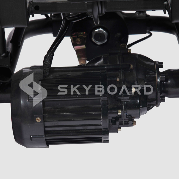 Электроскутер SKYBOARD (Скайборд) TRIKE BR80 (АКБ 60V23Ah) | Мототека