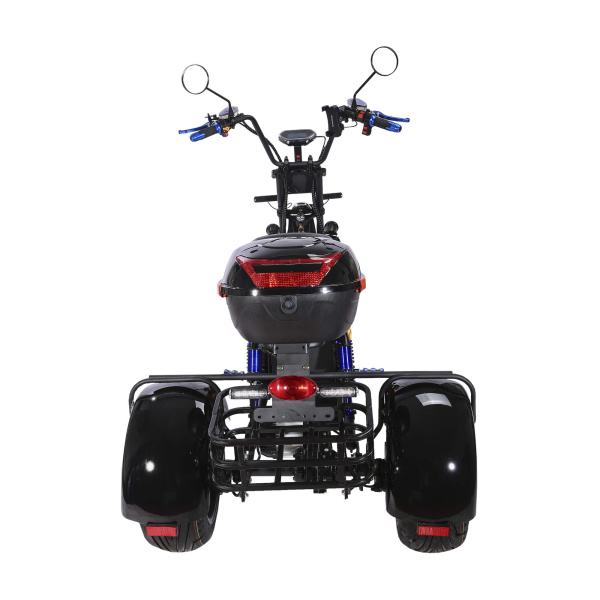 Электроскутер SKYBOARD (Скайборд) BR60 - 3000 (Marusya) | Мототека