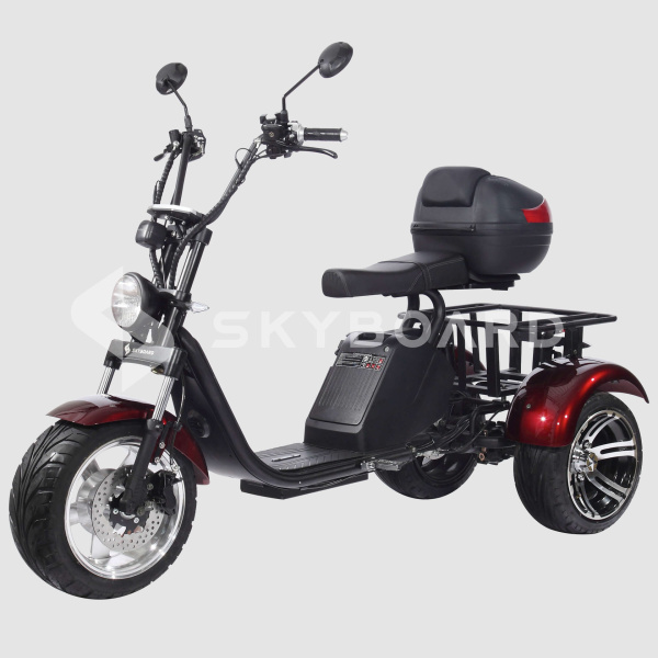 Электроскутер SKYBOARD (Скайборд) TRIKE BR80 (АКБ 60V23Ah) | Мототека